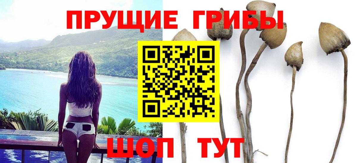 как найти закладки  Псилоцибиновые грибы ЛСД  Вход с VPN  Воркута 